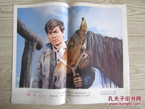工程咨询单位资格证书怎么仿制